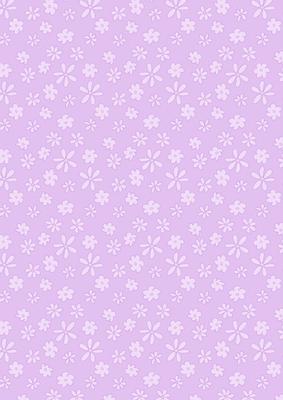 Dreamy Dragonflies Matching Backing Paper