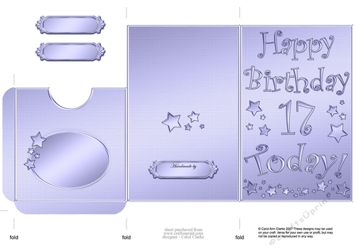 Elegant Metallic 17th Birthday Lottery Wallet Card