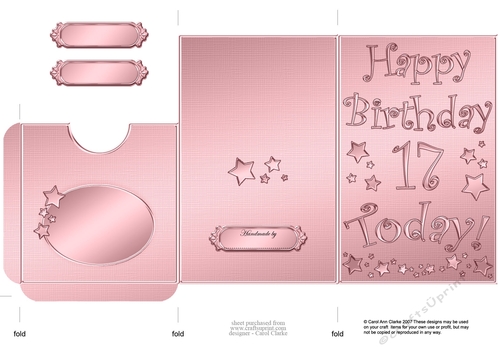 Elegant Metallic 17th Birthday Lottery Wallet Card