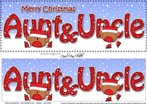 Large DL Merry Christmas AUNT & UNCLE 3D decoupage with Bobbin Robin