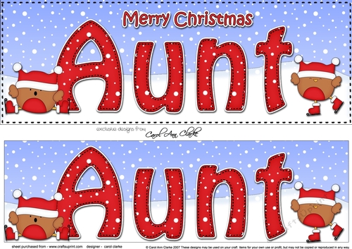 Large DL Merry Christmas AUNT 3D decoupage with Bobbin Robin