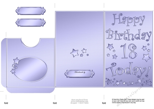 Elegant Metallic 18th Birthday Lottery Wallet Card