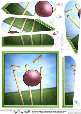 Cricket Quick Card with Fan Pyramage Topper