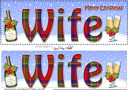 Large DL Merry Christmas WIFE 3D decoupage with Champagne