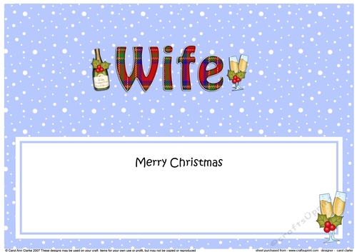 Large DL Merry Christmas WIFE insert with Champagne