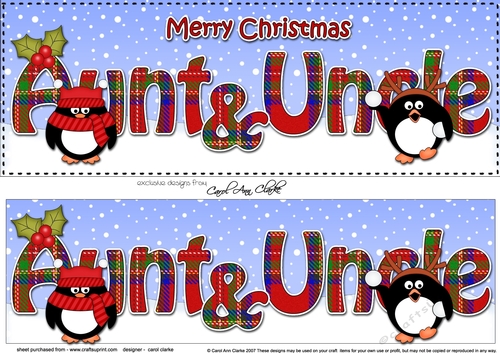 Large DL Merry Christmas AUNT & UNCLE 3D decoupage with Tartan Penguins