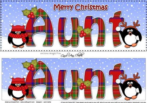 Large DL Merry Christmas AUNT 3D decoupage with Tartan Penguins