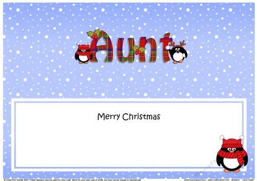 Large DL Merry Christmas AUNT insert with Tartan Penguins