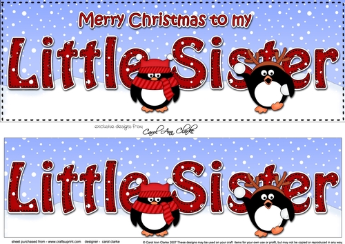 Large DL Merry Christmas to my LITTLE SISTER 3D decoupage with Penguins