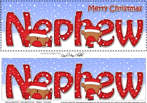 Large DL Merry Christmas NEPHEW 3D decoupage with Bobbin Robin