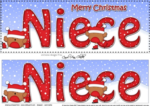 Large DL Merry Christmas NIECE 3D decoupage with Bobbin Robin