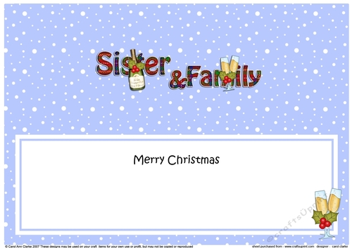 Large DL Merry Christmas SISTER & FAMILY insert with Champagne