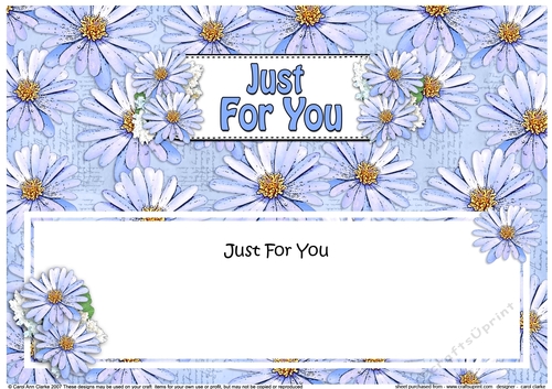 Large DL JUST FOR YOU Daisies Floral matching insert