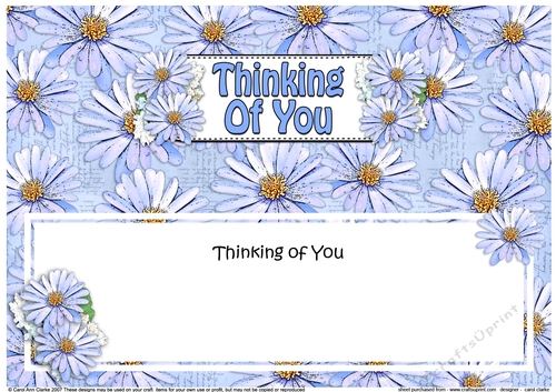 Large DL THINKING OF YOU Daisies Floral matching insert