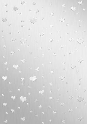 Elegant Romance Matching Vellum