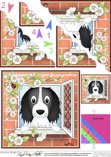 Scalloped Corner Stacker - Through the Window - Little Springer Spaniel Dog