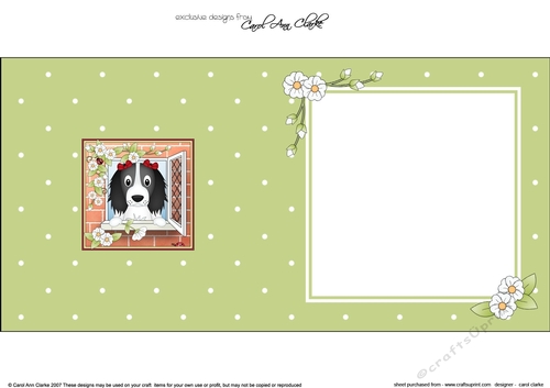 Square landscape insert - Through the Window - Little Springer Spaniel Dog