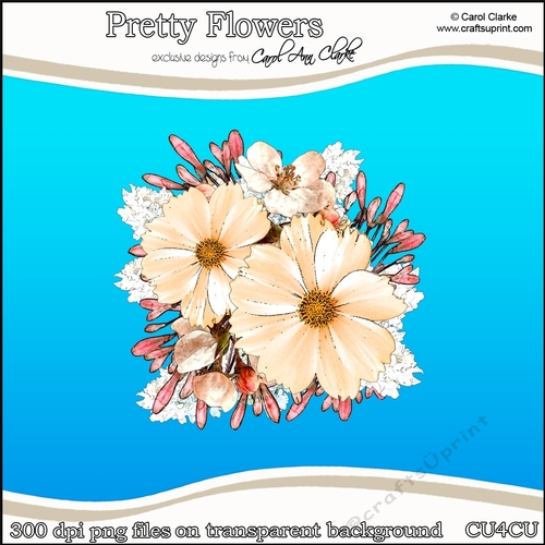 Pretty Flowers - CU4CU Digital Clip Art Set