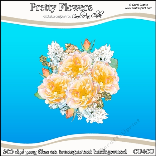 Pretty Flowers - CU4CU Digital Clip Art Set