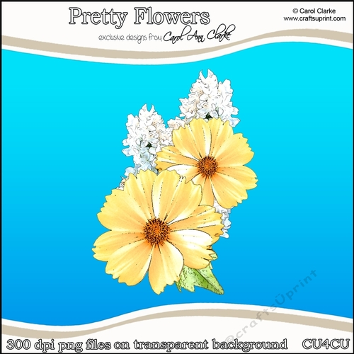 Pretty Flowers - CU4CU Digital Clip Art Set