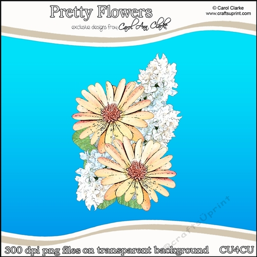 Pretty Flowers - CU4CU Digital Clip Art Set