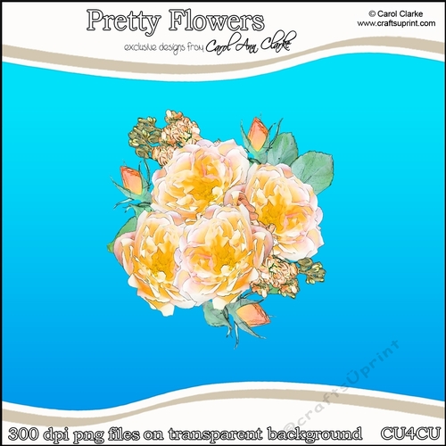 Pretty Flowers - CU4CU Digital Clip Art Set