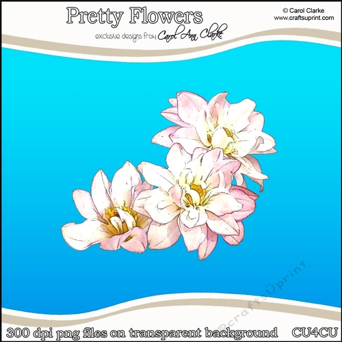 Pretty Flowers - CU4CU Digital Clip Art Set
