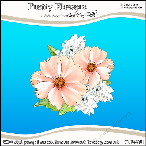 Pretty Flowers - CU4CU Digital Clip Art Set