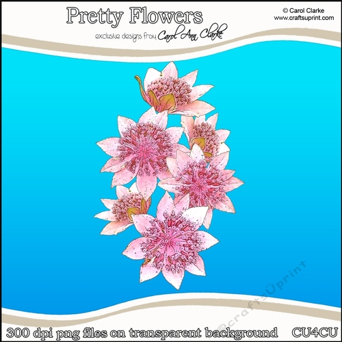 Pretty Flowers - CU4CU Digital Clip Art Set