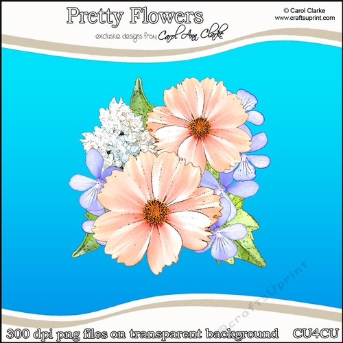 Pretty Flowers - CU4CU Digital Clip Art Set