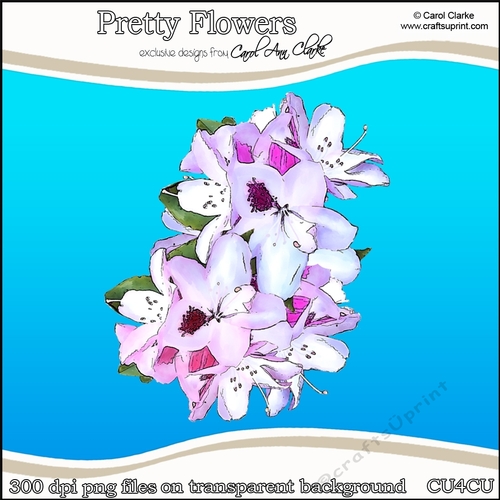 Pretty Flowers - CU4CU Digital Clip Art Set