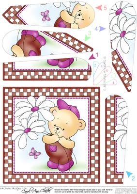 Robert's Flowers Quick Card with Fan Pyramage Topper