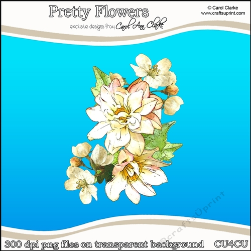 Pretty Flowers - CU4CU Digital Clip Art Set