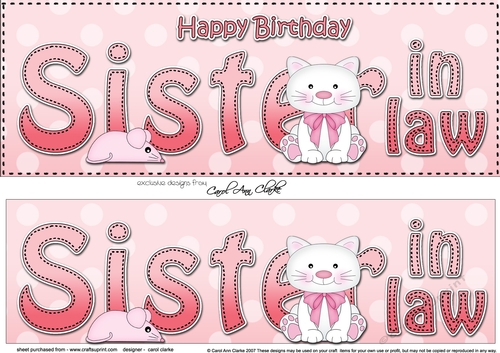 Large DL Happy Birthday SISTER IN LAW 3D decoupage with Cute Cat