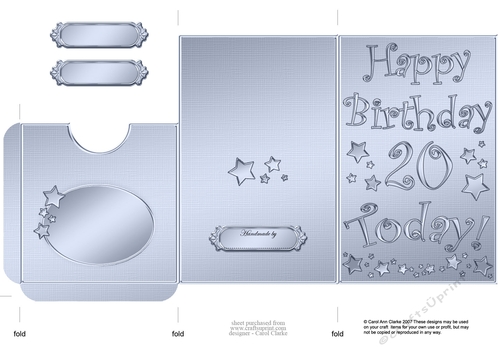 Elegant Metallic 20th Birthday Lottery Wallet Card