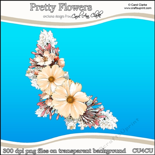 Pretty Flowers - CU4CU Digital Clip Art Set