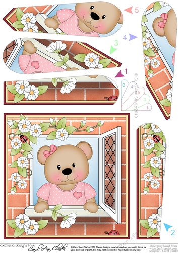 Fan Pyramage Topper - Through the Window - Livvy Bear  