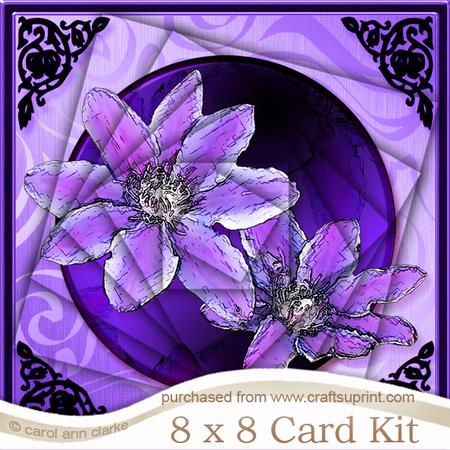 Clematis 8 x 8 Kit with Twisted Pyramage