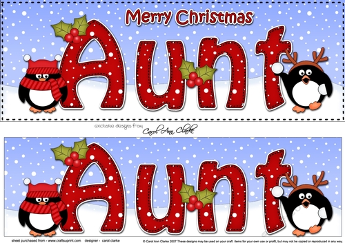 Large DL Merry Christmas AUNT 3D decoupage