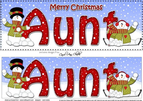 Large DL Merry Christmas AUNT 3D decoupage 