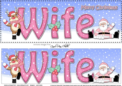 Large DL Merry Christmas WIFE with Santa & Rudolph insert