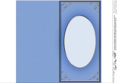 Dl 'silver Metallic Frame' Card Front or Insert