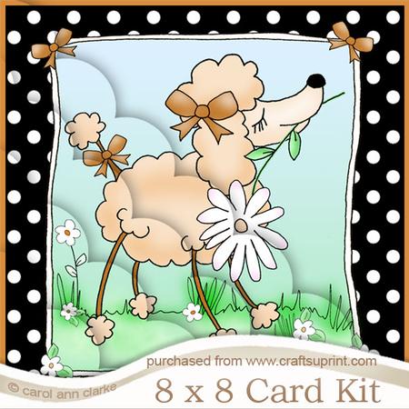 8 x 8 Cute Poodle Kit with Scalloped Corners
