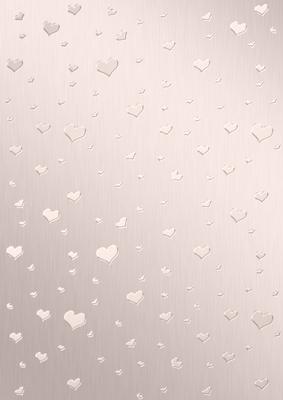 Elegant Romance Matching Vellum