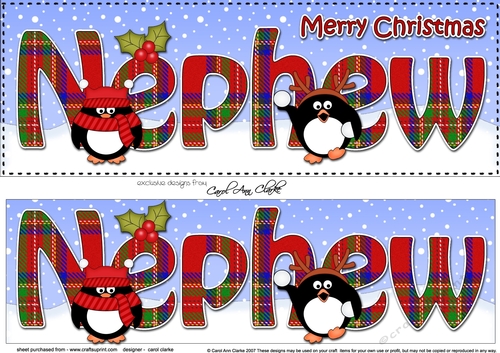 Large DL Merry Christmas NEPHEW 3D decoupage with Tartan Penguins
