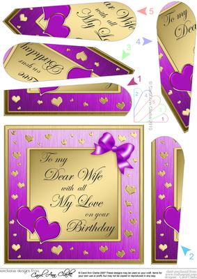 Wife Birthday Quick Card with Fan Pyramage Topper