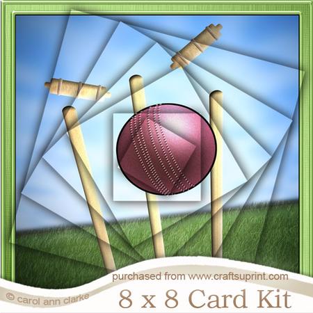 8 x 8 Cricket Kit with Twisted Pyramage