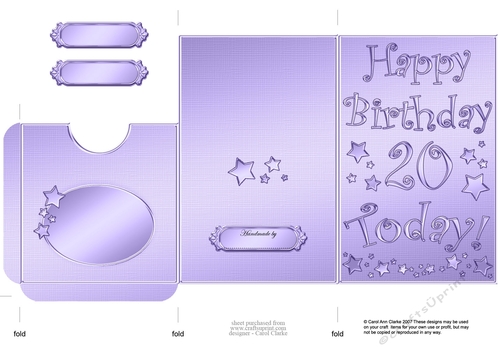 Elegant Metallic 20th Birthday Lottery Wallet Card