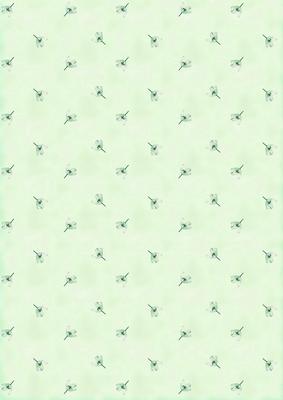 Spring Flowers and Lace Matching Backing Paper