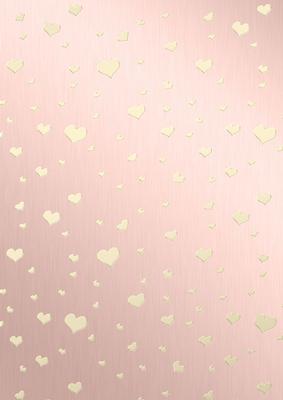 Metallic Romantic Hearts Matching Vellum Kit